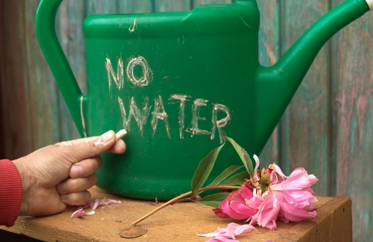 Spar på vandet - sæt vandingen i system!
